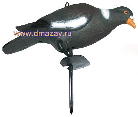 Чучело подсадное голубь PRC 7817 с лапами на опоре    